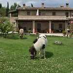 Farm Il Carro Del Colle ファームステイ