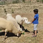 ファームステイ Farm Il Carro Del Colle *