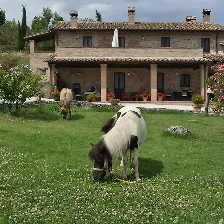 Farm Il Carro Del Colle Farm stay