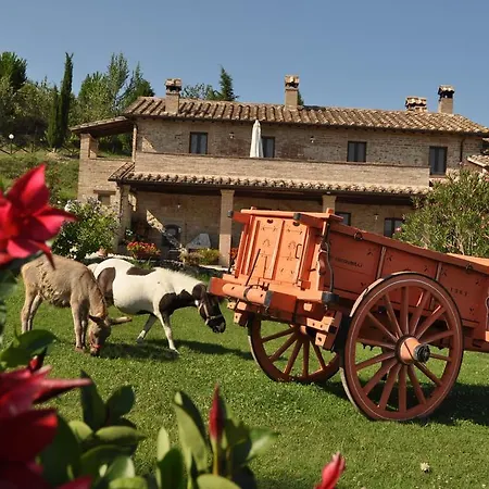 Farm Il Carro Del Colle * Collevalenza