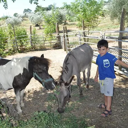 Farm Il Carro Del Colle Farm stay
