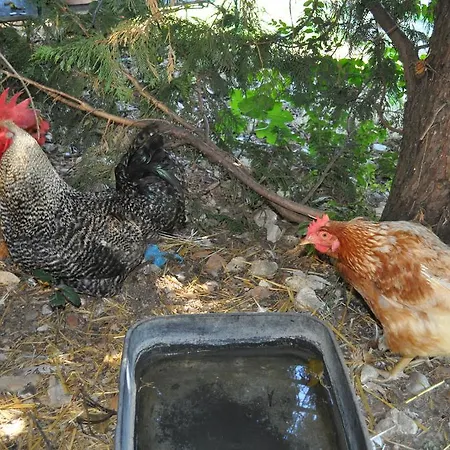 Farm stay Farm Il Carro Del Colle